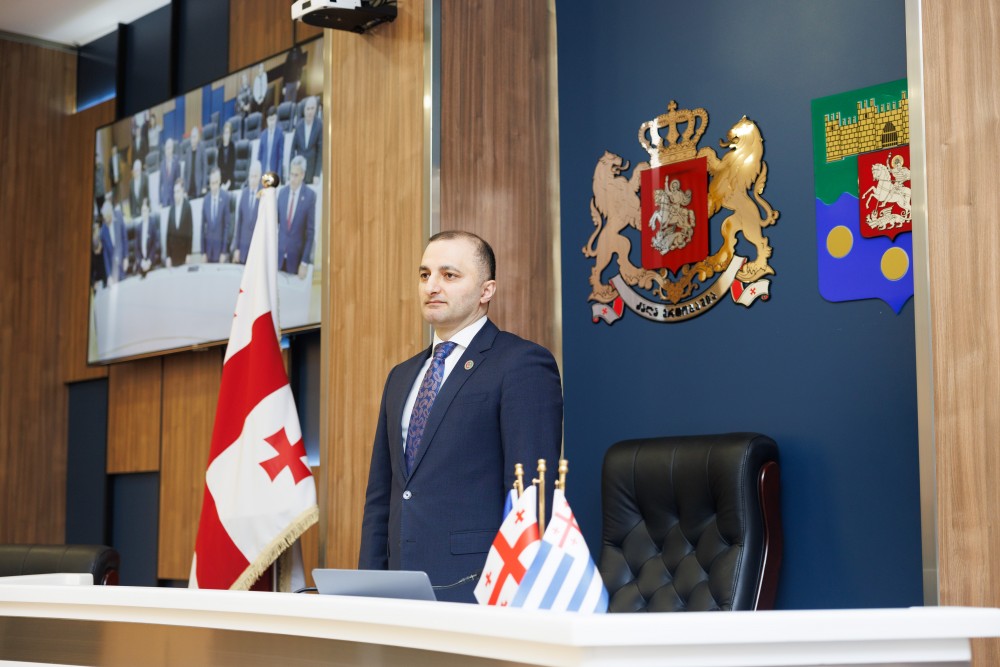 რიგგარეშე სესიის პლენარული სხდომა