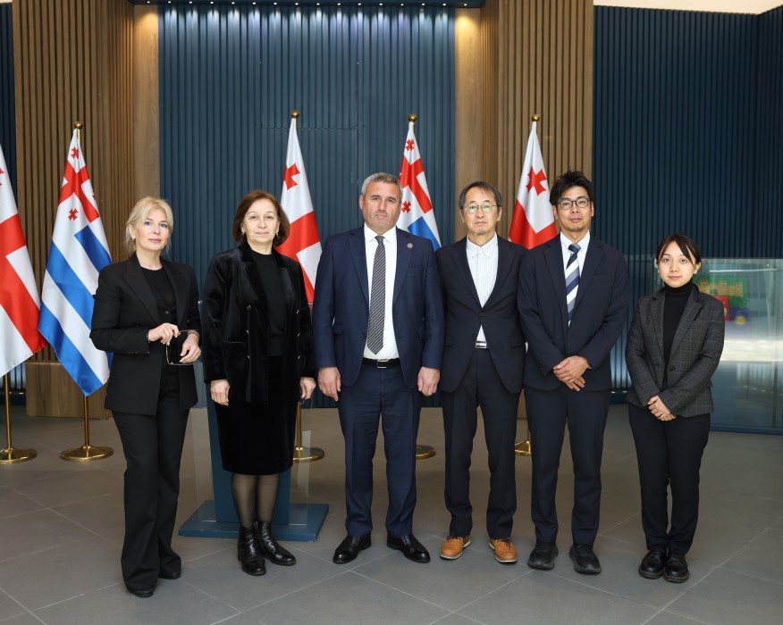 სამუშაო შეხვედრა უმაღლეს საბჭოში