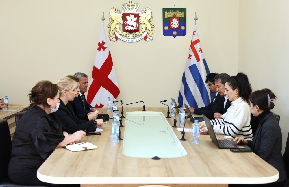 სამუშაო შეხვედრა უმაღლეს საბჭოში