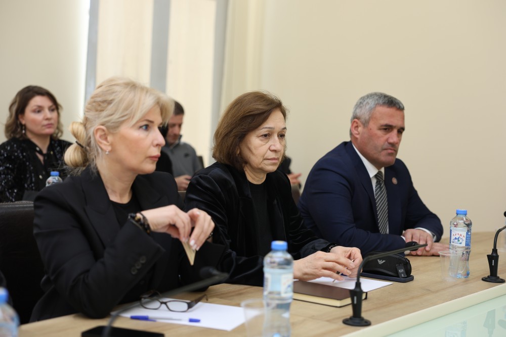 სამუშაო შეხვედრა უმაღლეს საბჭოში