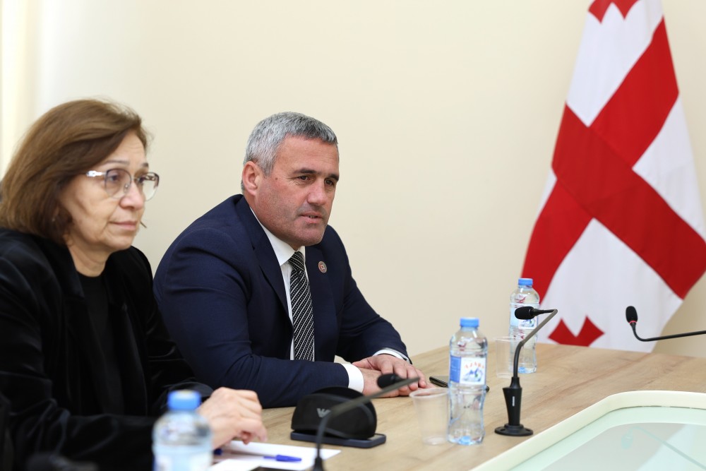 სამუშაო შეხვედრა უმაღლეს საბჭოში