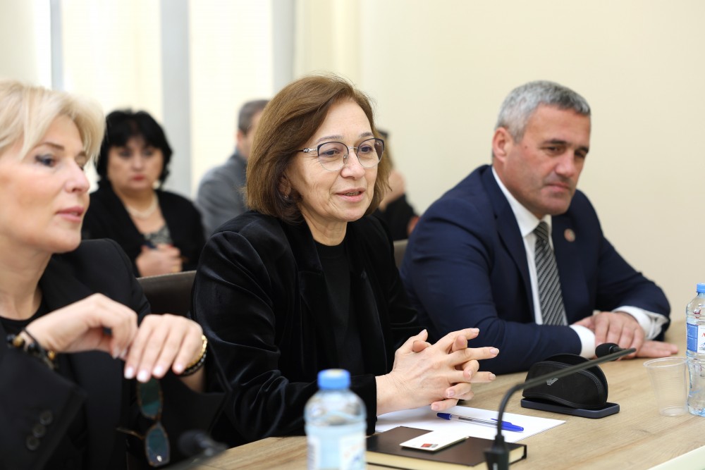 სამუშაო შეხვედრა უმაღლეს საბჭოში