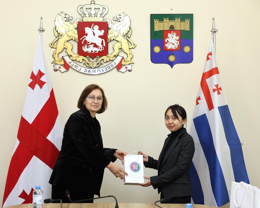 სამუშაო შეხვედრა უმაღლეს საბჭოში