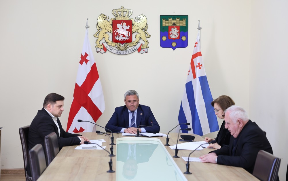 კომიტეტებმა სამოქმედო გეგმები და გასული წლის საქმიანობის ანგარიშები განიხილეს