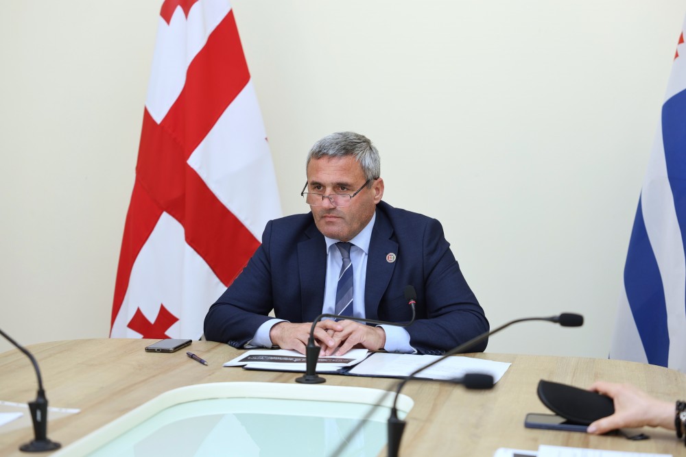 კომიტეტებმა სამოქმედო გეგმები და გასული წლის საქმიანობის ანგარიშები განიხილეს