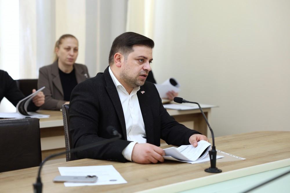 კომიტეტებმა სამოქმედო გეგმები და გასული წლის საქმიანობის ანგარიშები განიხილეს