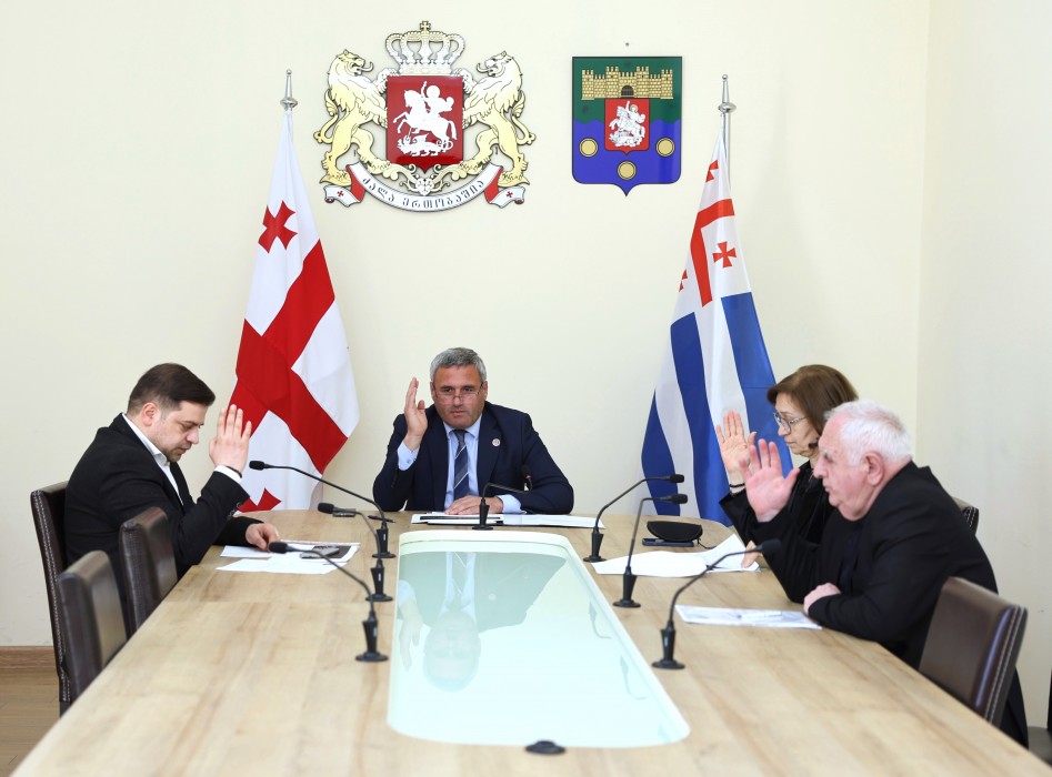 კომიტეტებმა სამოქმედო გეგმები და გასული წლის საქმიანობის ანგარიშები განიხილეს