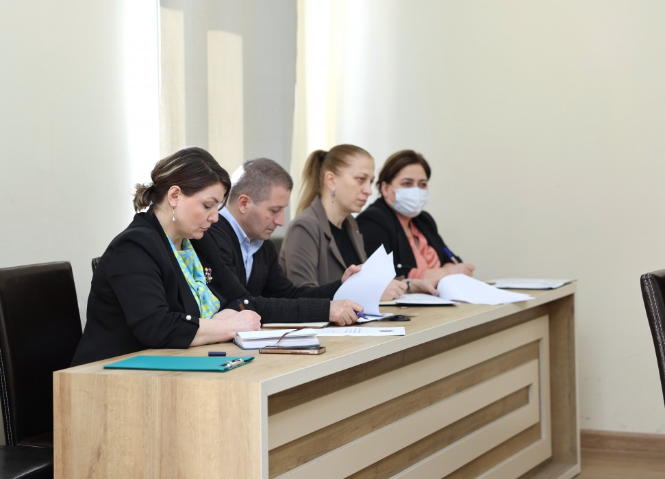 კომიტეტებმა სამოქმედო გეგმები და გასული წლის საქმიანობის ანგარიშები განიხილეს