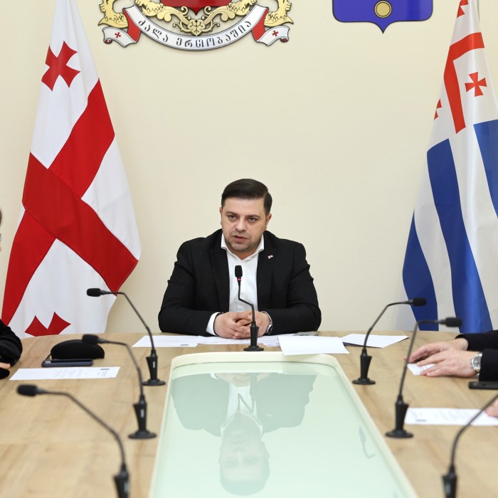 კომიტეტებმა სამოქმედო გეგმები და გასული წლის საქმიანობის ანგარიშები განიხილეს