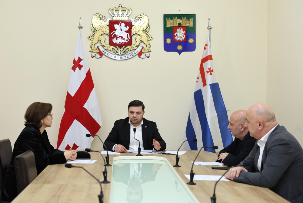 კომიტეტებმა სამოქმედო გეგმები და გასული წლის საქმიანობის ანგარიშები განიხილეს