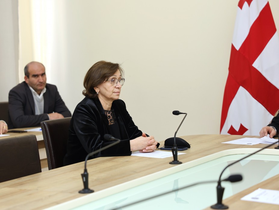 კომიტეტებმა სამოქმედო გეგმები და გასული წლის საქმიანობის ანგარიშები განიხილეს