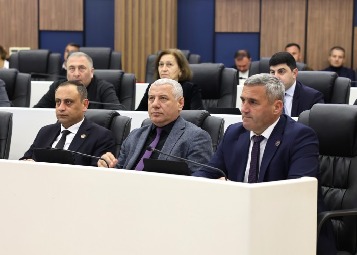 პლენარულ სხდომაზე აჭარის ჯანმრთელობისა და სოციალური დაცვის მინისტრს და უსკოს თავმჯდომარეს მოუსმინეს