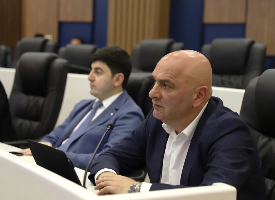 უმაღლეს საბჭოში მინი