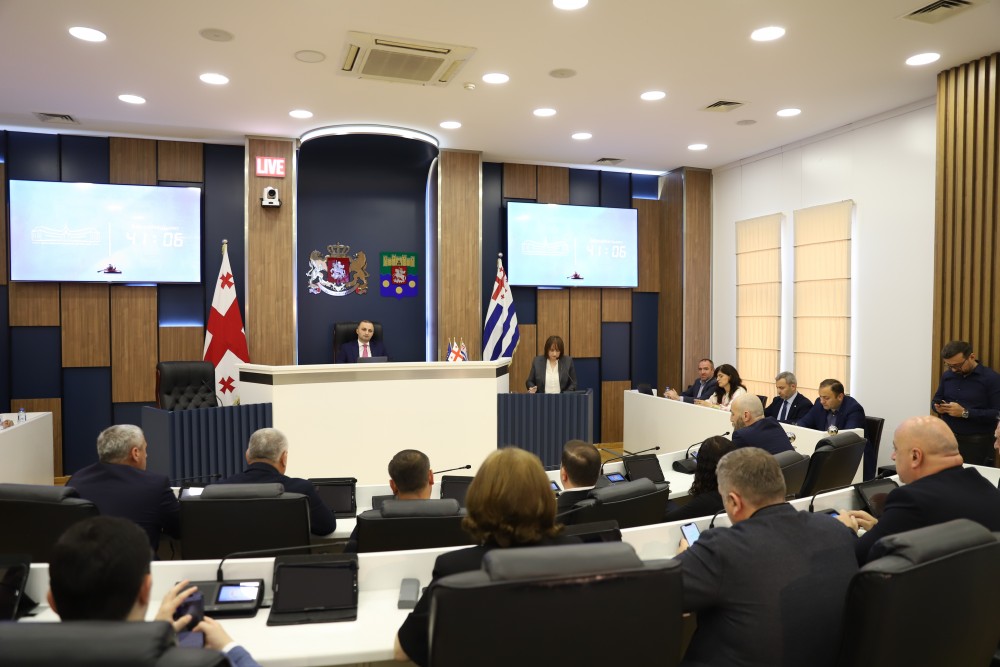 უმაღლეს საბჭოში მინი