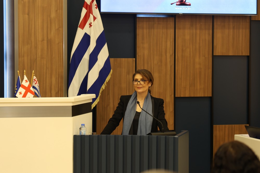   უმაღლეს საბჭოში,  „მინისტრის საათის“ ფორმატში, კულტურის მინისტრს მოუსმინეს