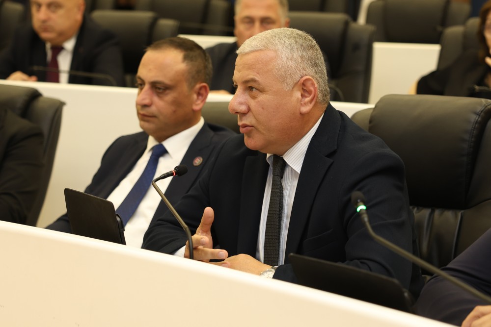   უმაღლეს საბჭოში,  „მინისტრის საათის“ ფორმატში, კულტურის მინისტრს მოუსმინეს