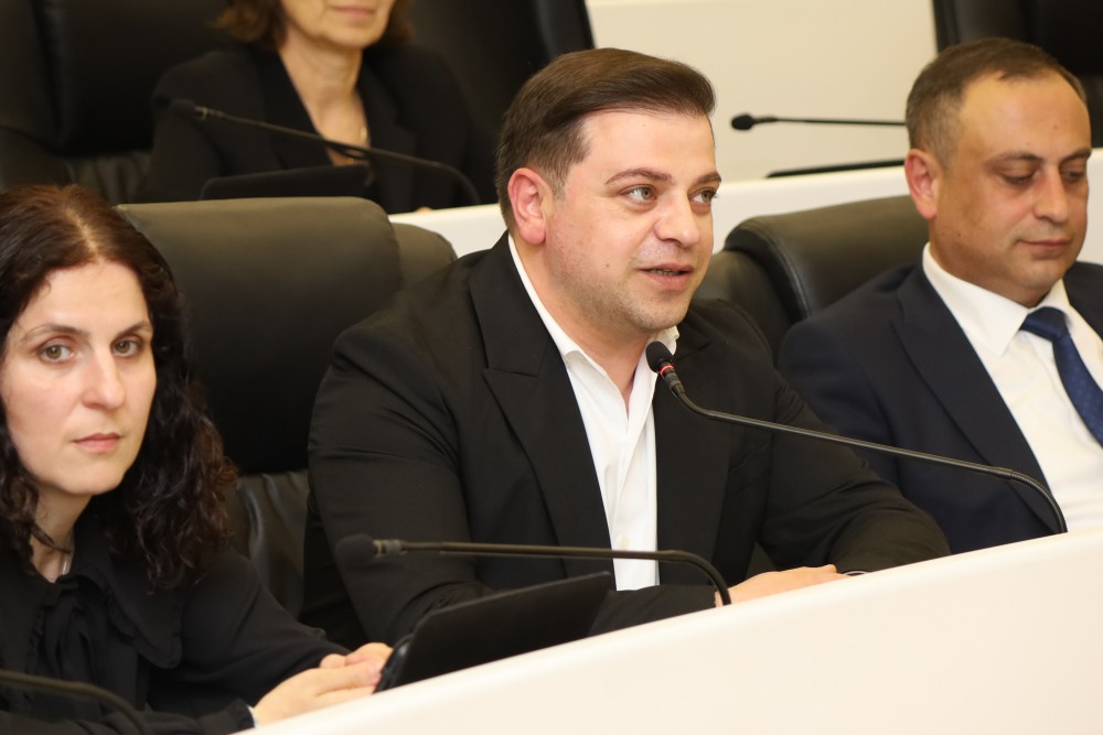   უმაღლეს საბჭოში,  „მინისტრის საათის“ ფორმატში, კულტურის მინისტრს მოუსმინეს