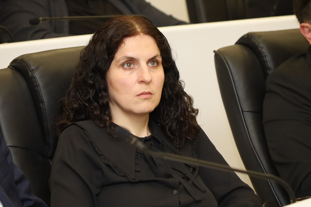   უმაღლეს საბჭოში,  „მინისტრის საათის“ ფორმატში, კულტურის მინისტრს მოუსმინეს