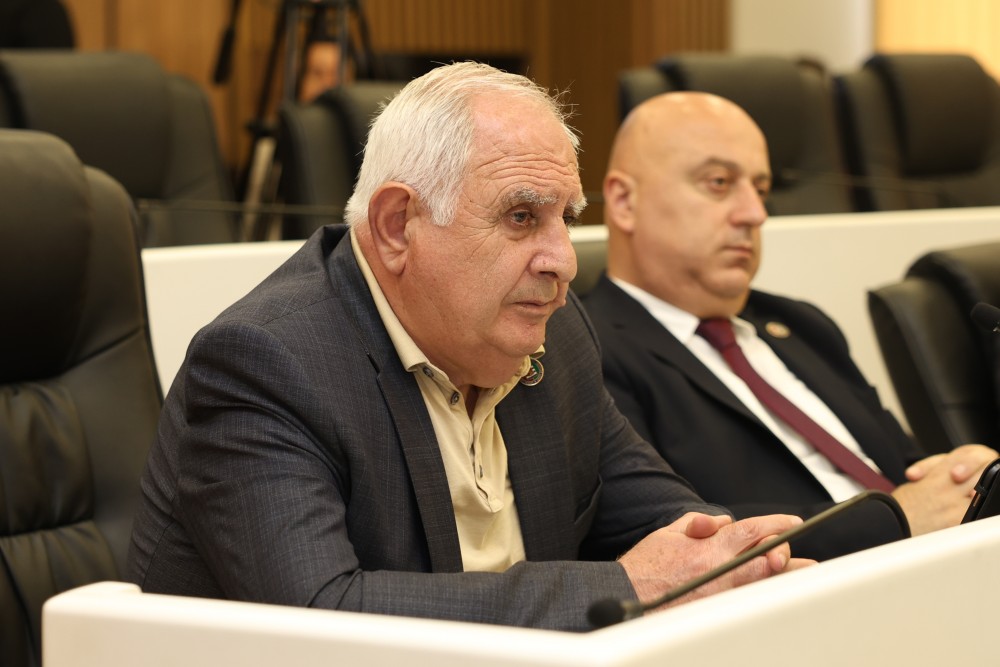   უმაღლეს საბჭოში,  „მინისტრის საათის“ ფორმატში, კულტურის მინისტრს მოუსმინეს