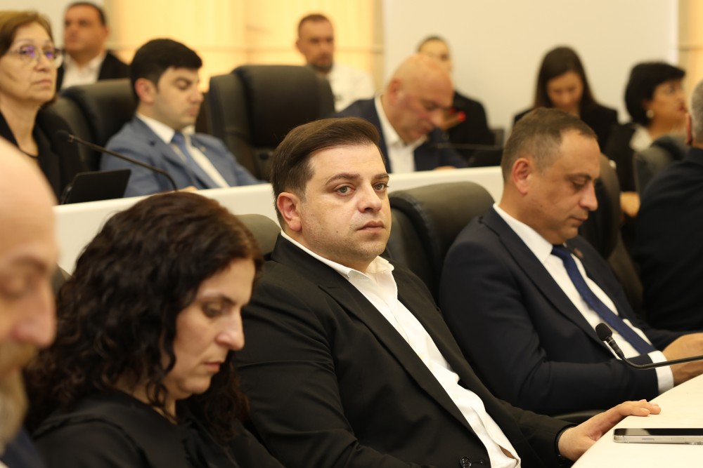   უმაღლეს საბჭოში,  „მინისტრის საათის“ ფორმატში, კულტურის მინისტრს მოუსმინეს