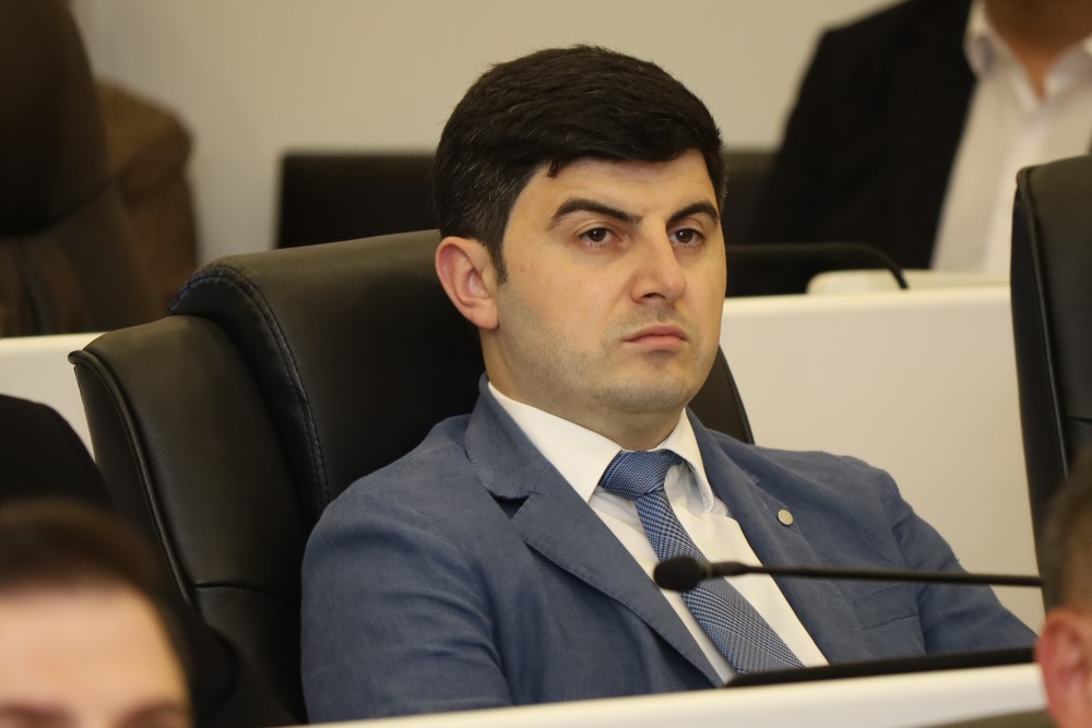   უმაღლეს საბჭოში,  „მინისტრის საათის“ ფორმატში, კულტურის მინისტრს მოუსმინეს