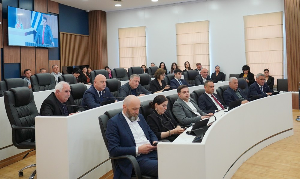 უმაღლეს საბჭოში „მინისტრის საათი“ ფინანსთა და ეკონომიკის მინისტრის მოსმენით დასრულდა