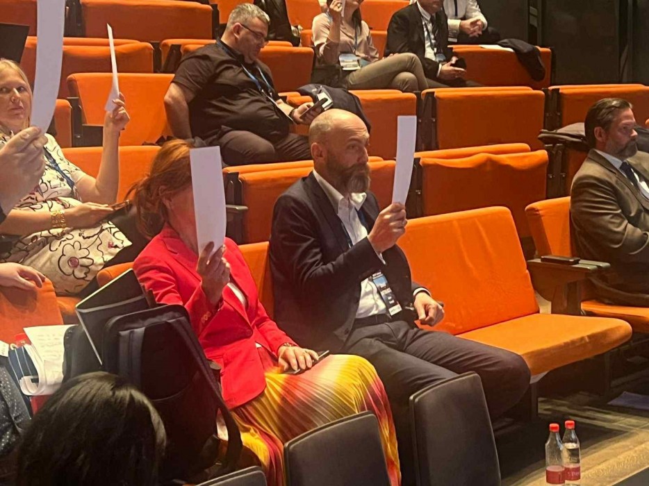 დავით ბაციკაძე, მეორე ვადით, ევროპის რეგიონთა ასამბლეის (AER, ერა) ვიცე-პრეზიდენტია     