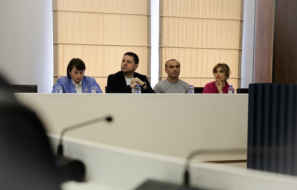 საფინანსო-საბიუჯეტო და ეკონომიკურ საკითხთა კომიტეტის სხდომა