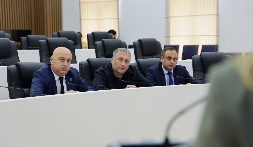 საფინანსო-საბიუჯეტო და ეკონომიკურ საკითხთა კომიტეტის სხდომა