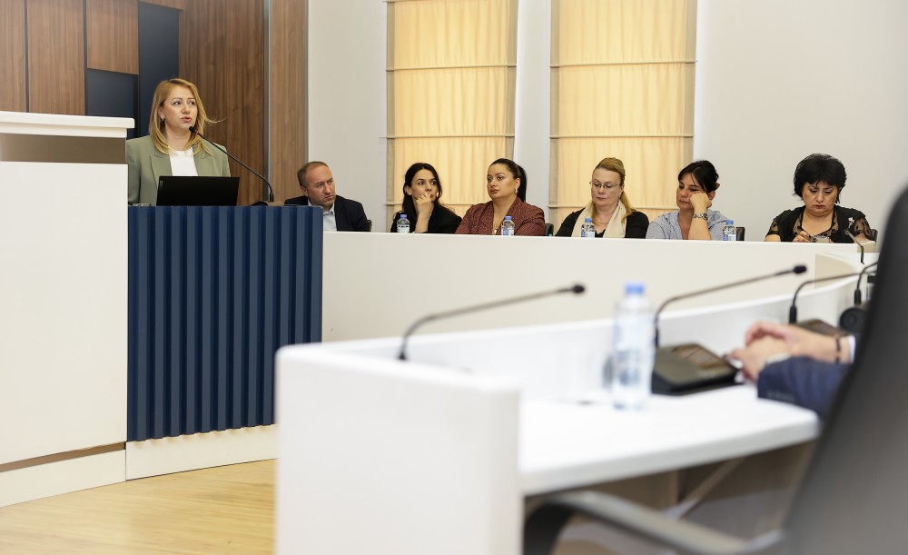 საფინანსო-საბიუჯეტო და ეკონომიკურ საკითხთა კომიტეტის სხდომა