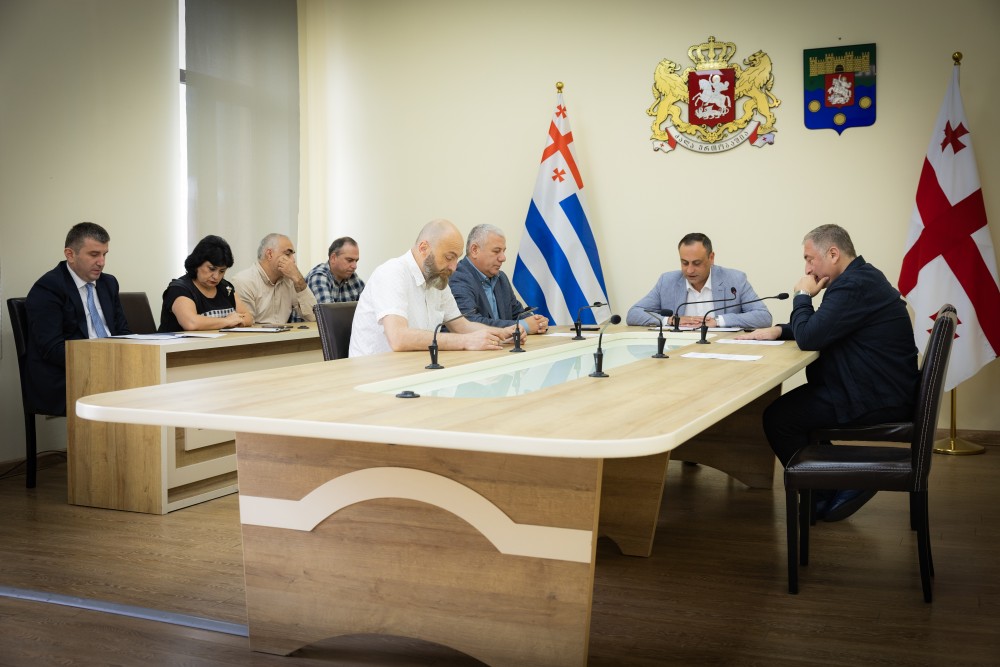 საკონსტიტუციო, იურიდიულ და საპროცედურო საკითხთა კომიტეტის სხდომა