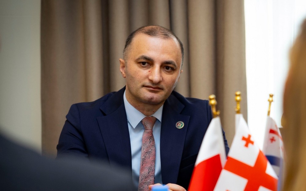             დავით გაბაიძემ ქვემო სილეზიის დელეგაციას უმასპინძლა