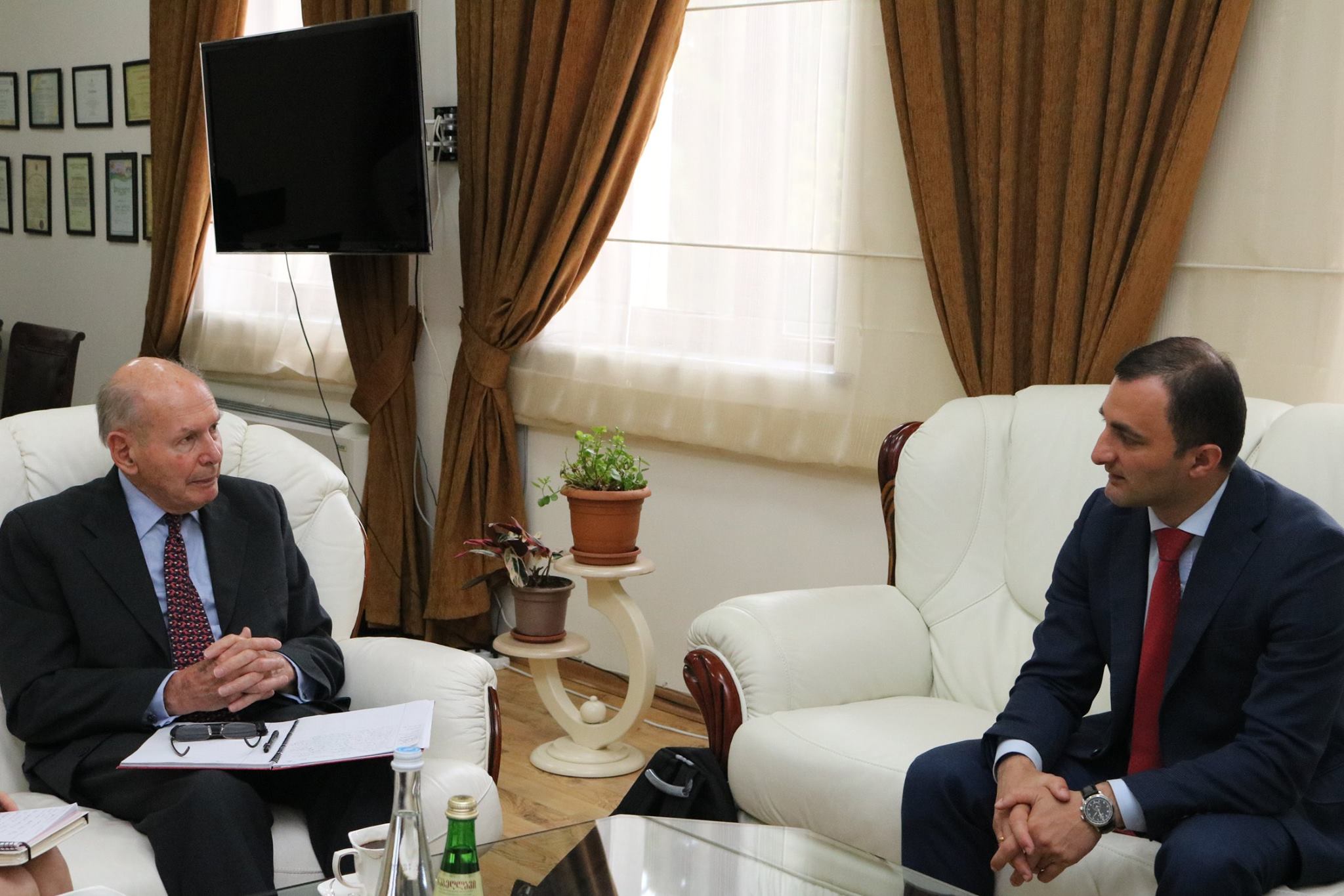 დავით გაბაიძე სადამკვირვებლო მისიის წარმომადგენლებს შეხვდა