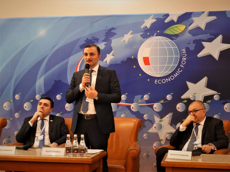 დავით გაბაიძე კარპაჩის ინდუსტრიულ ფორუმზე სიტყვით გამოვიდა
