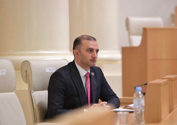 დავით გაბაიძე ზურაბ ჭურკვეიძე საქართველოს პარლამენტში შალვა პაპუაშვილის ანგარიშის წარდგენას დაესწრნენ