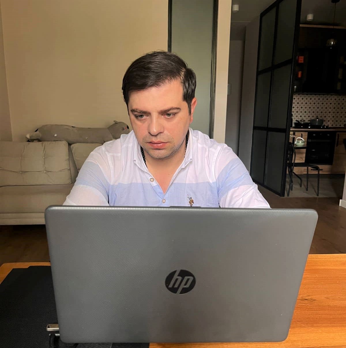 კონფერენცია  ''ომი აფხაზეთში - 30 წელი'' ცოტნე ანანიძის მონაწილეობით