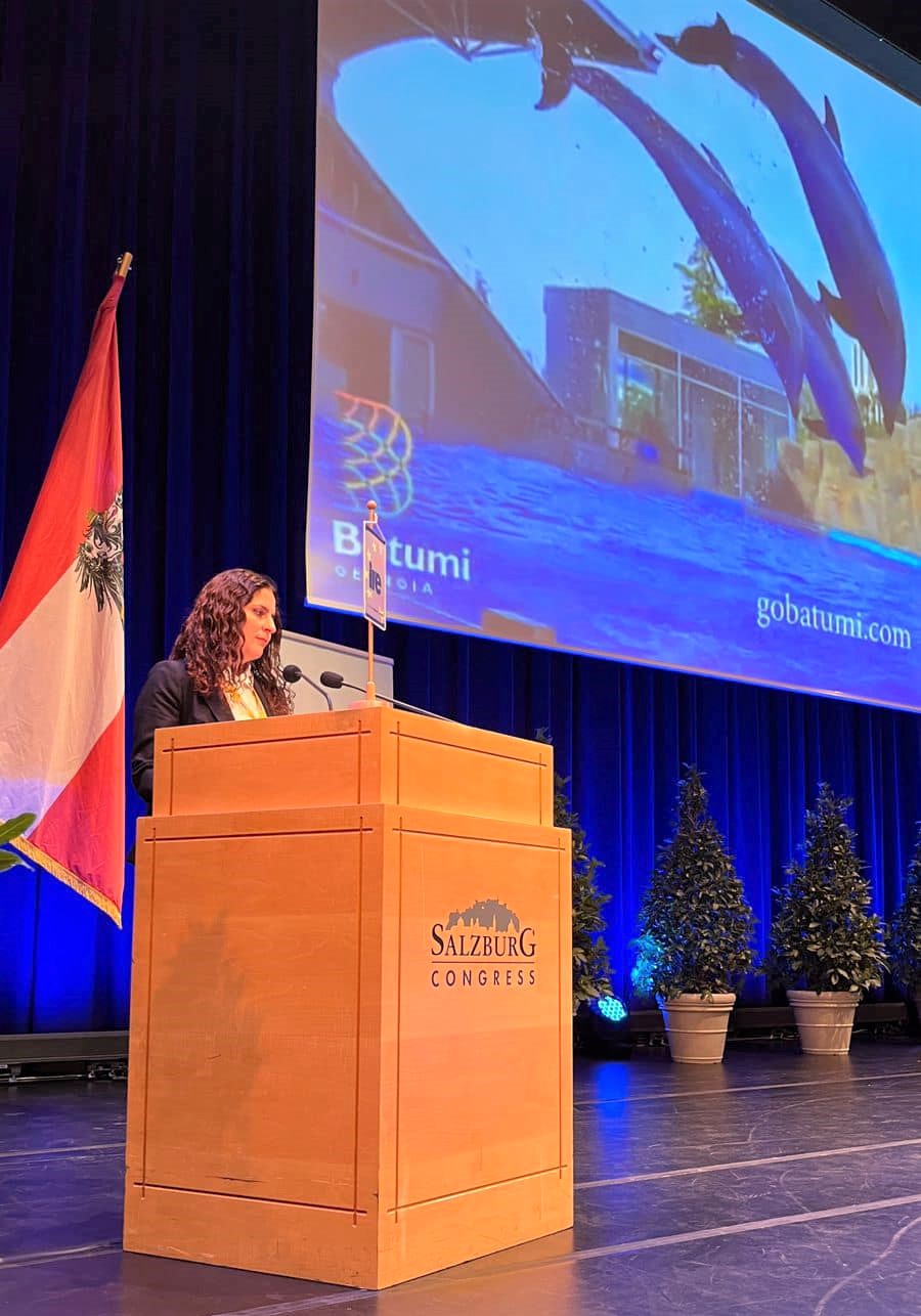 დავით გაბაიძე ევროპის რეგიონთა ინსტიტუტის სამიტზე პრეზენტაციით წარსდგა