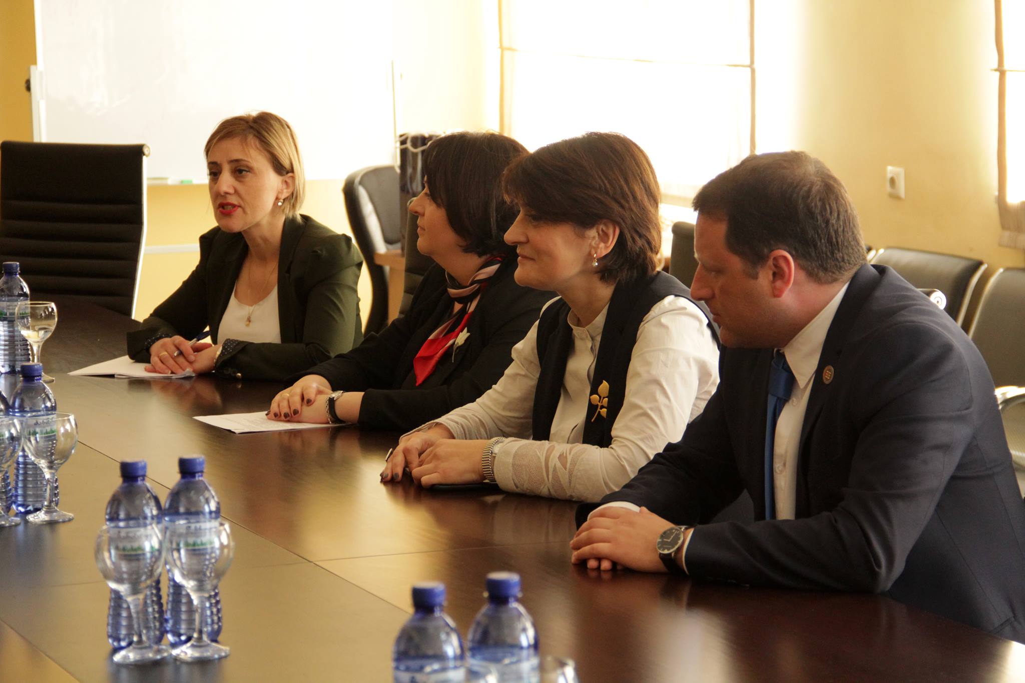 ბრანდენბურგის დელეგაციის ვიზიტი გრძელდება