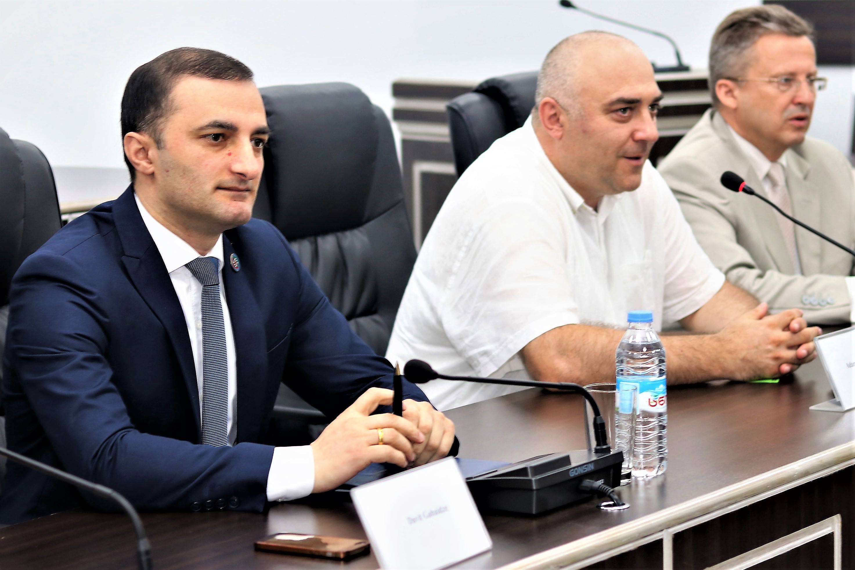 დავით გაბაიძემ საზაფხულო სკოლის მონაწილეებს უმასპინძლა