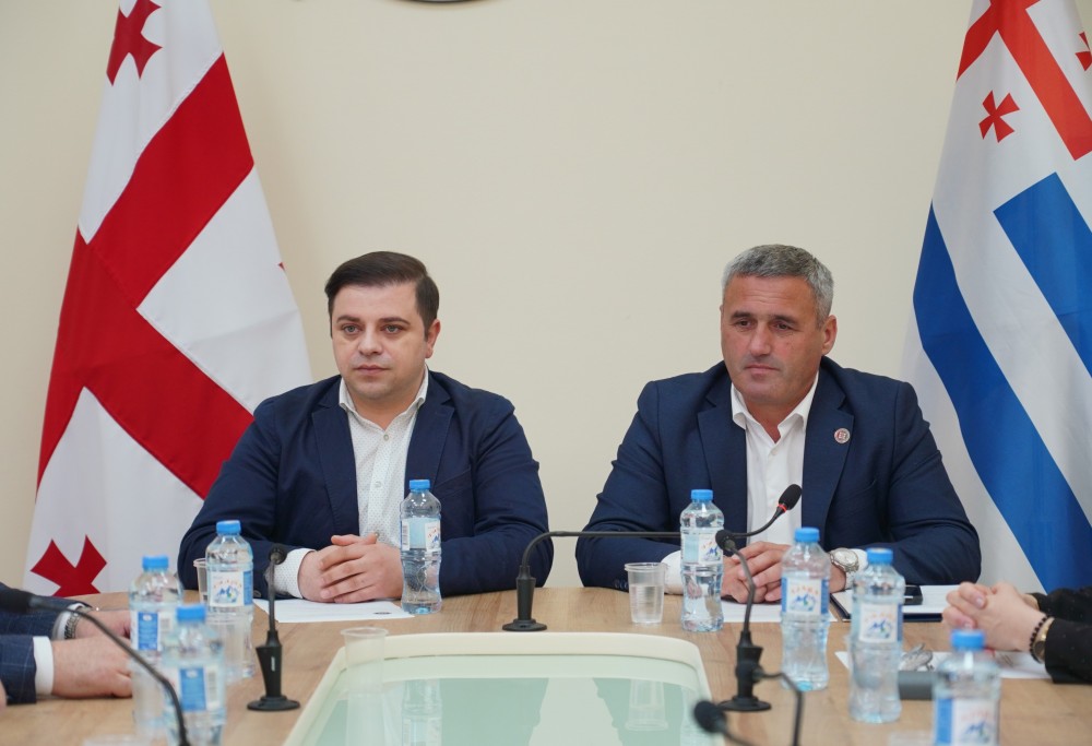            ადამიანის უფლებათა დაცვის საკითხთა და ჯანმრთელობის დაცვისა და სოციალურ საკითხთა კომიტეტების სხდომა