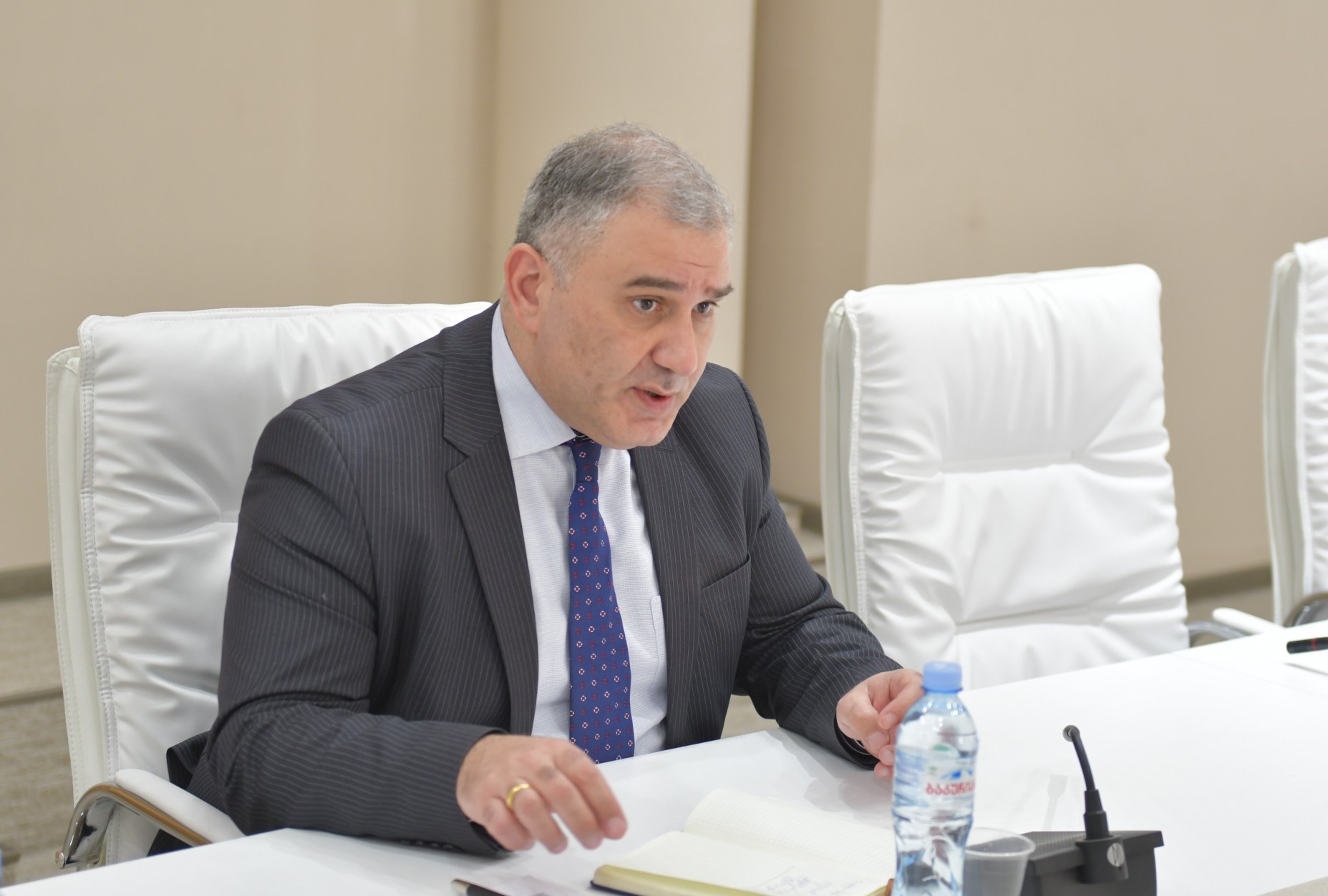 ცოტნე ანანიძე და ილია ვერძაძე პარლამენტის ადამიანის უფლებათა დაცვისა და სამოქალაქო ინტეგრაციის კომიტეტის თავმჯდომარეს - მიხეილ სარჯველაძეს შეხვდნენ