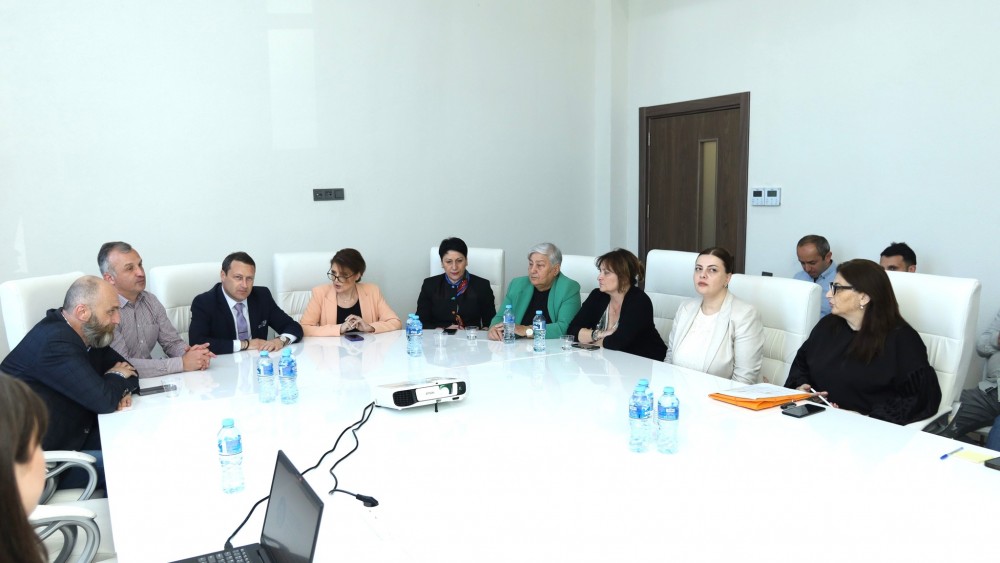 უმაღლესი საბჭოს წევრი დავით ბაციკაძე აჭარის კულტურის სამინისტროში 2026-2029 წლების პრიორიტეტების დოკუმენტის განხილვას   დაესწრო