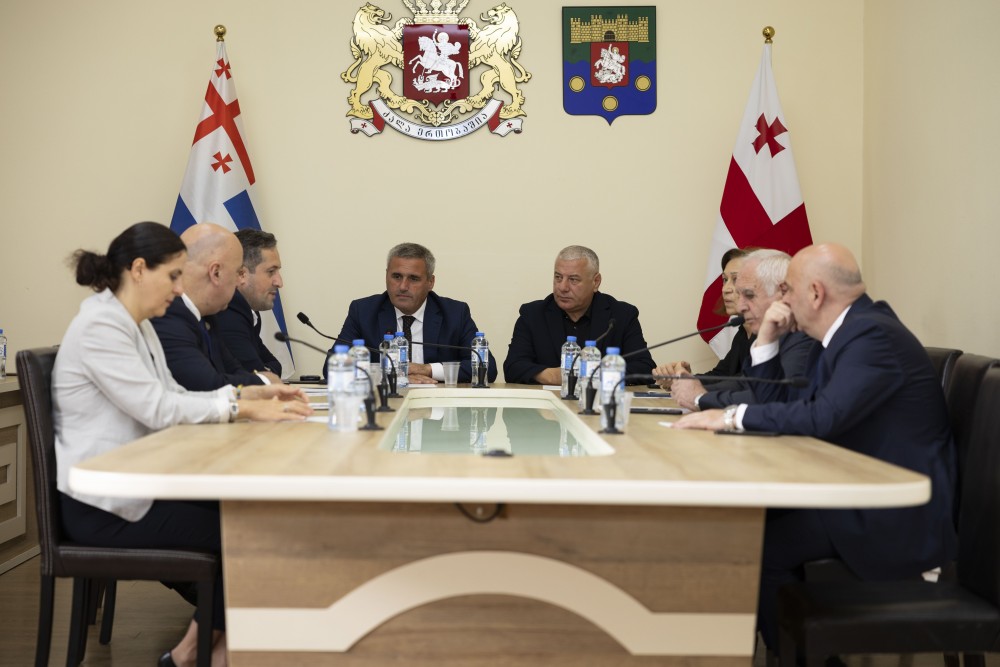 კომიტეტებმა ორი კვარტლის შესრულების  ანგარიში ცნობად მიიღეს