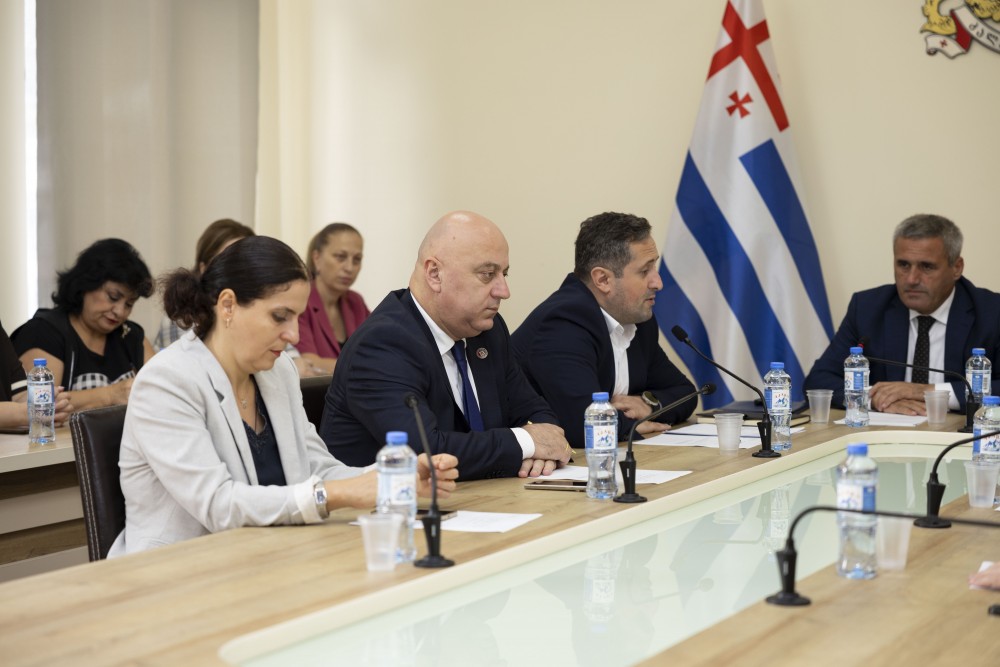 კომიტეტებმა ორი კვარტლის შესრულების  ანგარიში ცნობად მიიღეს