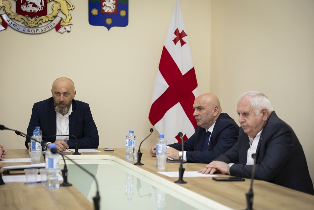 განათლების, მეცნიერების, კულტურისა და სპორტის საკითხთა კომიტეტის სხდომა