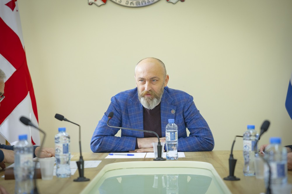 განათლების, მეცნიერების, კულტურისა და სპორტის საკითხთა კომიტეტის სხდომა