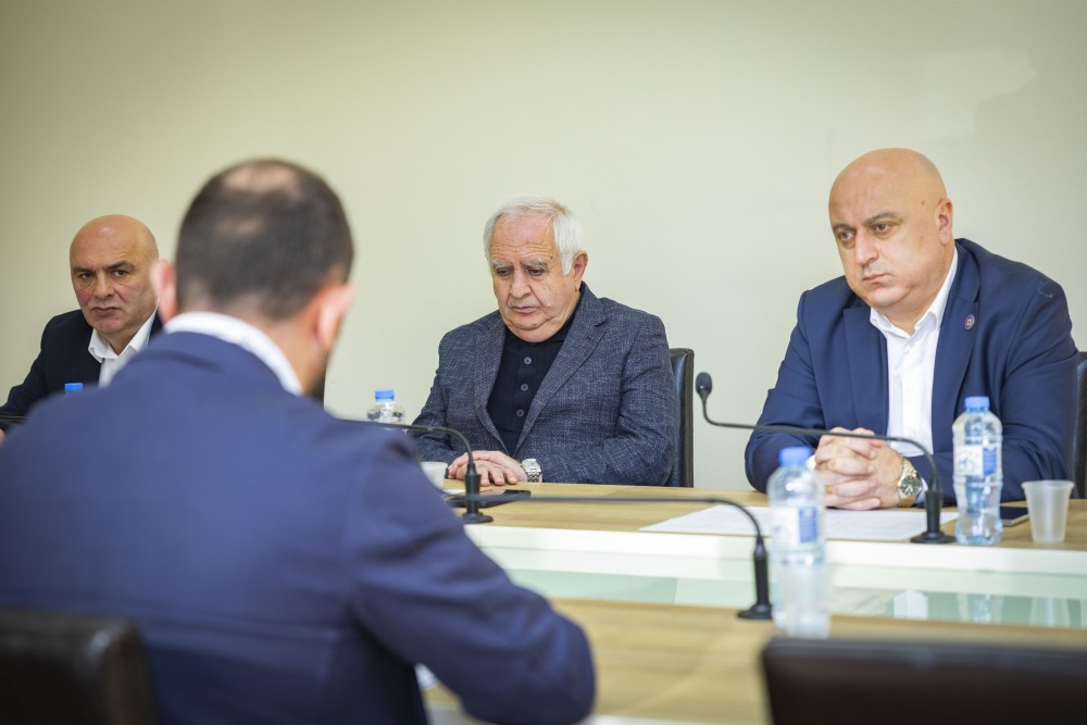 განათლების, მეცნიერების, კულტურისა და სპორტის საკითხთა კომიტეტის სხდომა