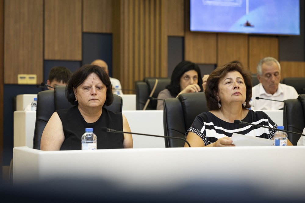 ჯანმრთელობის დაცვისა და სოციალურ საკითხთა კომიტეტთან არსებული სამეცნიერო-საკონსულტაციო საბჭოს სხდომა