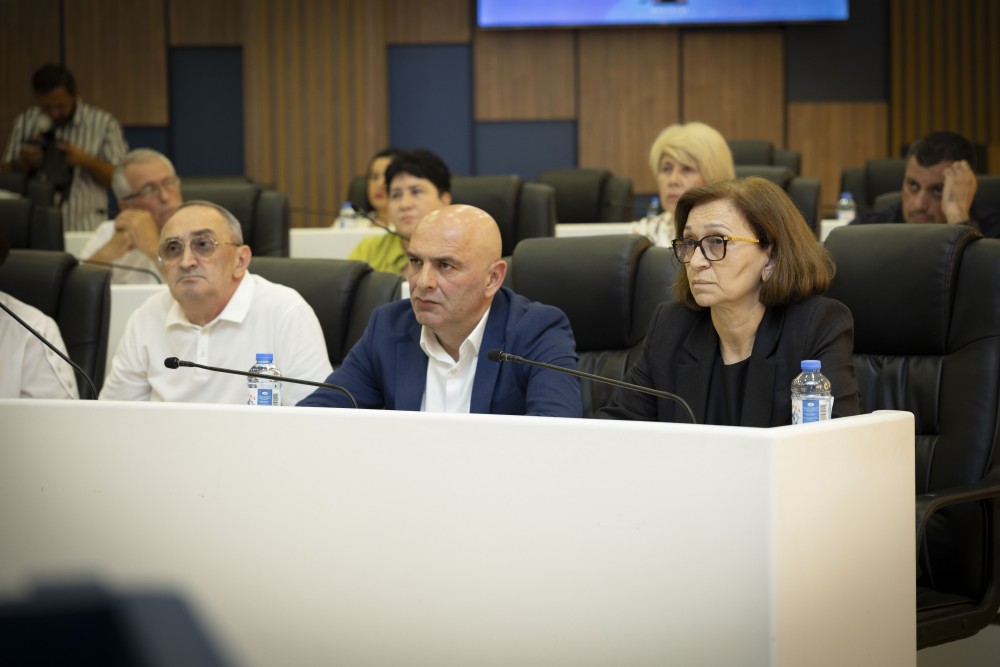 ჯანმრთელობის დაცვისა და სოციალურ საკითხთა კომიტეტთან არსებული სამეცნიერო-საკონსულტაციო საბჭოს სხდომა