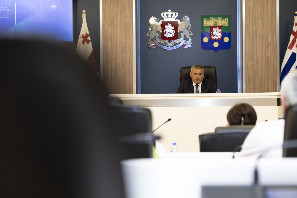 ჯანმრთელობის დაცვისა და სოციალურ საკითხთა კომიტეტთან არსებული სამეცნიერო-საკონსულტაციო საბჭოს სხდომა